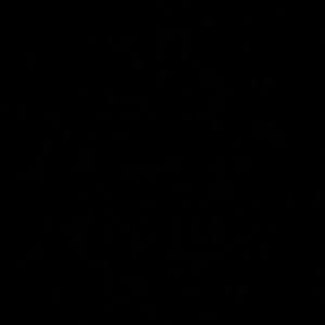 Meet your Posher, Jadyn